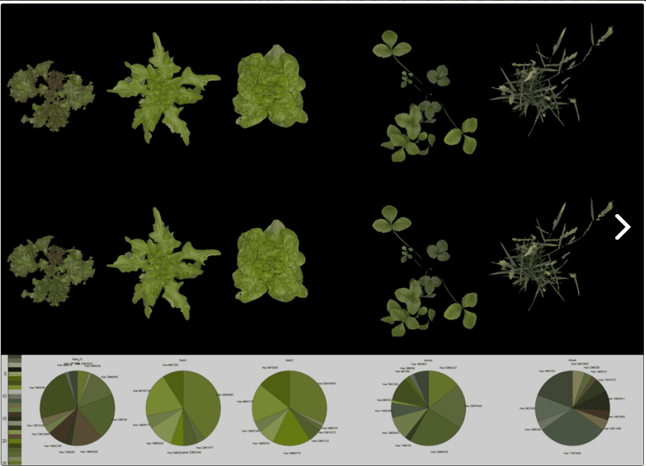 spectrometer photo with measures the course of spectrum of light 